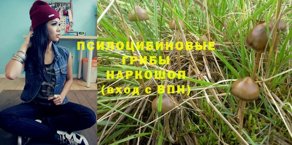 a pvp Беломорск